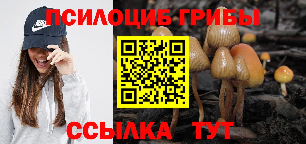 Острогожск  где купить наркоту  Псилоцибиновые грибы Magic Shrooms  Вход с VPN  Псилоцибиновые грибы MAGIC MUSHROOMS 